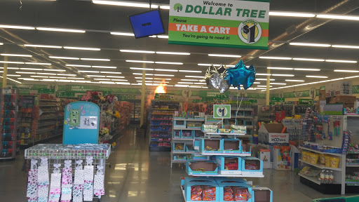 Dollar Store «Dollar Tree», reviews and photos, 11530 W Sample Rd, Coral Springs, FL 33065, USA