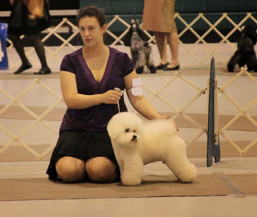 Boutique «Fetching Canine Grooming and Boutique», reviews and photos, 1490 W State Rd 434, Longwood, FL 32750, USA