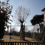 Photo n°5 de l'avis de Al.a fait le 16/10/2017 à 12:06 sur le  Parco Zoo Falconara Srl à Falconara Marittima