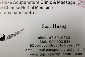 Te Puke Acupuncture image