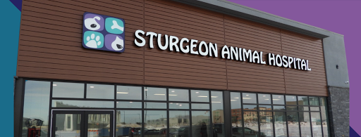 Sturgeon Animal Hospital image
