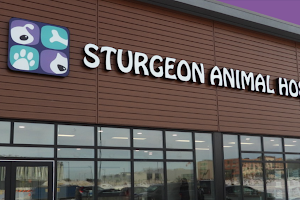 Sturgeon Animal Hospital image