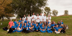 Animal Family Veterinary Care Center