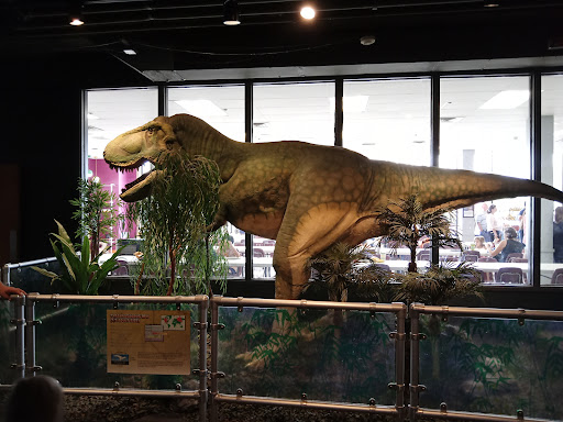 Science Museum «Adventure Science Center», reviews and photos, 800 Fort Negley Blvd, Nashville, TN 37203, USA