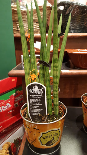 Grocery Store «The Fresh Market», reviews and photos, 5920 Red Bug Lake Rd, Winter Springs, FL 32708, USA