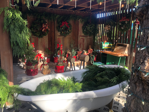 Christmas tree farm San Jose