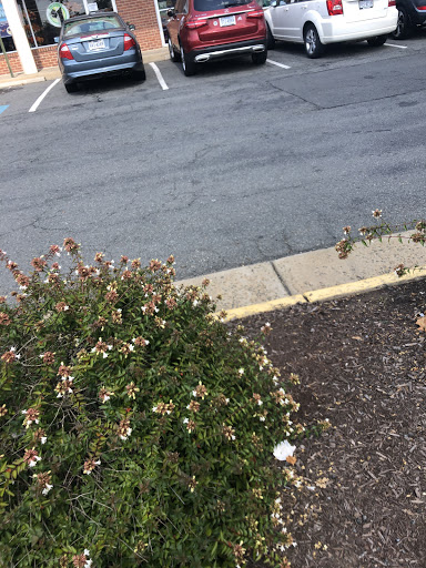 Shopping Mall «Pines Shopping Center», reviews and photos, 650 Elden St, Herndon, VA 20170, USA