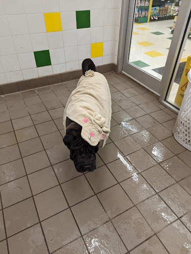 Pet Supply Store «Pet Supplies Plus», reviews and photos, 585 Moseley Rd, Fairport, NY 14450, USA