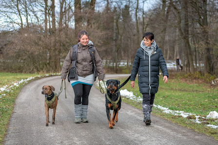 Mensch.Hund.Schule Achleiten 29, 4532 Achleiten, Österreich
