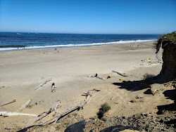 Gleneden Beach'in fotoğrafı ve yerleşim