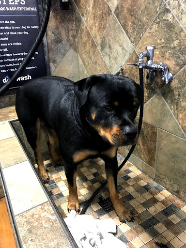 Pet Supply Store «Pet Valu», reviews and photos, 411 Valley Brook Ave, Lyndhurst, NJ 07071, USA