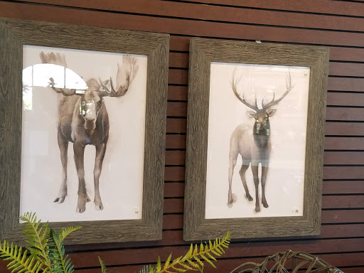 Pottery Store «Pottery World», reviews and photos, 1006 White Rock Rd, El Dorado Hills, CA 95762, USA