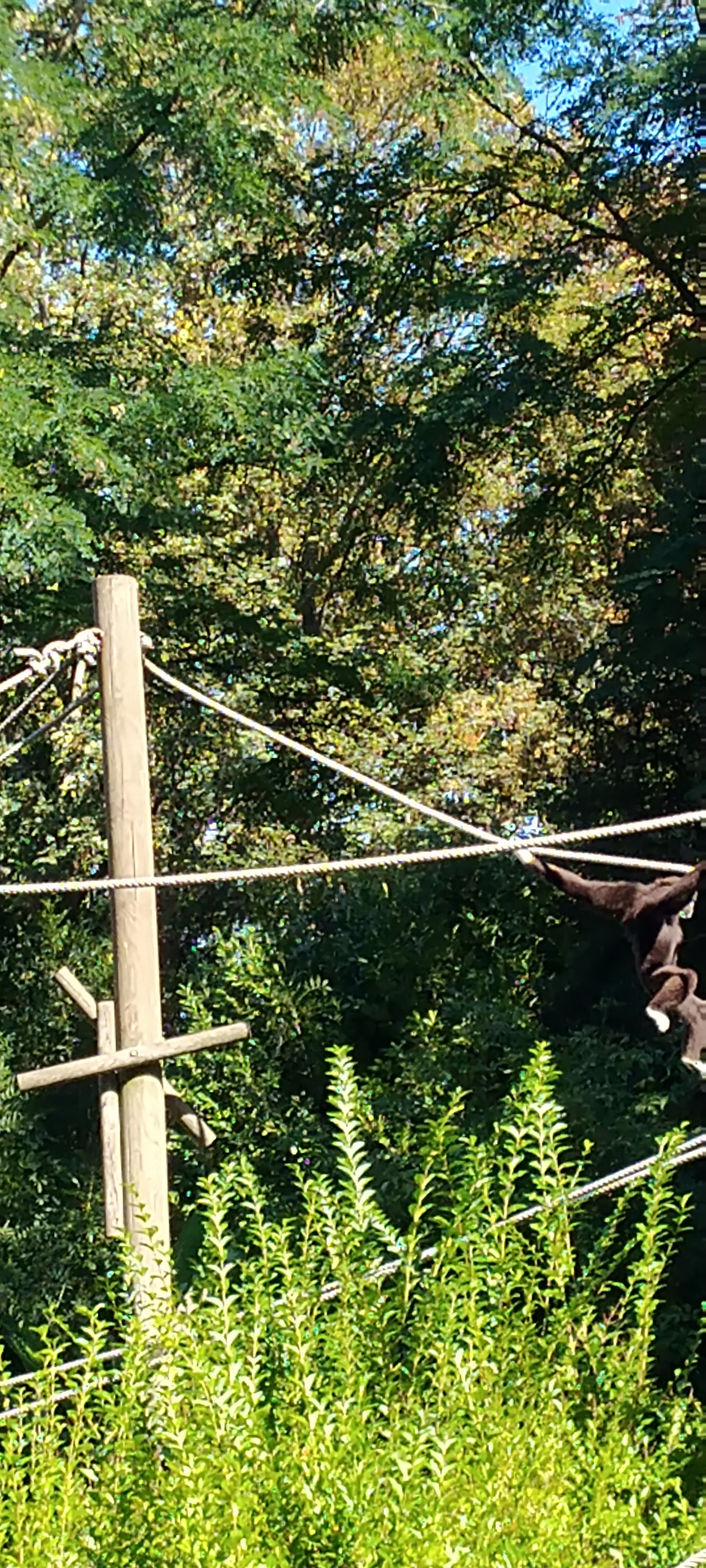 Photo n° 15 de l'avis de Bernard.e fait le 12/09/2022 à 09:16