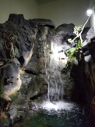 Pet Store «Incredible Pets Inc», reviews and photos, 2255 N Wickham Rd # 102, Melbourne, FL 32935, USA