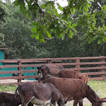 Photo n°1 de l'avis de Antonella.i fait le 06/06/2021 à 17:08 sur le  Villaggio Rurale Le Sette Querce à Località Montecesima