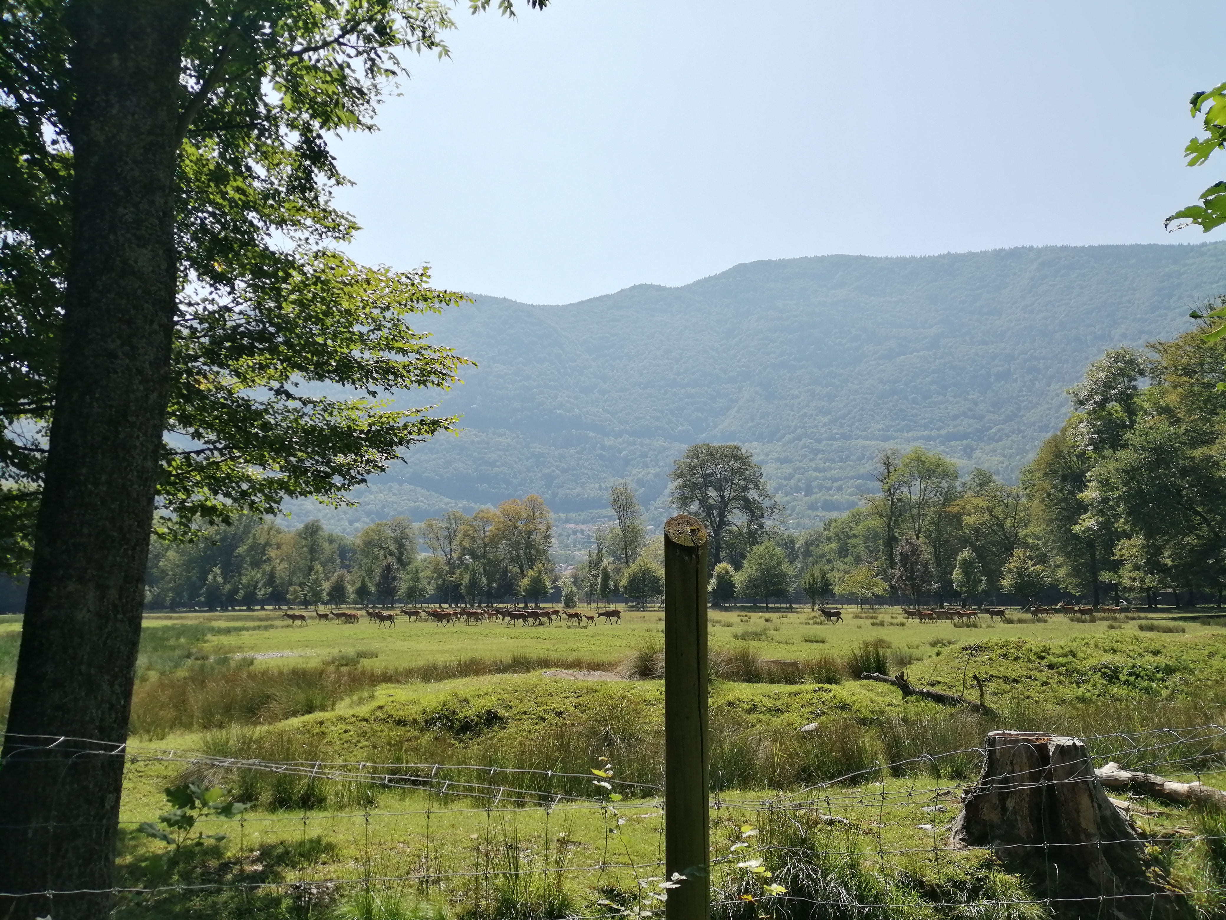 Photo n° 2 de l'avis de Isabelle.A fait le 28/08/2019 à 06:06