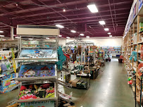 Anderson's Newport News - Photo 9 - Car repair in Newport News, VA, Newport News