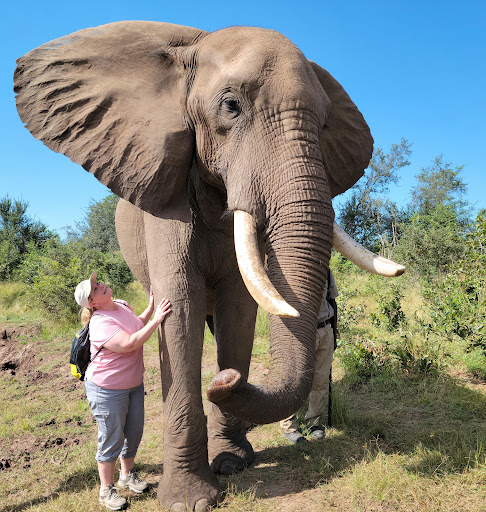 Travel Agency «Dreamers Travel», reviews and photos, 1206 N Main St, Hampstead, MD 21074, USA