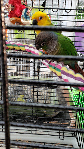 Pet Store «Pets Plus - Quakertown», reviews and photos, 117 S West End Blvd, Quakertown, PA 18951, USA