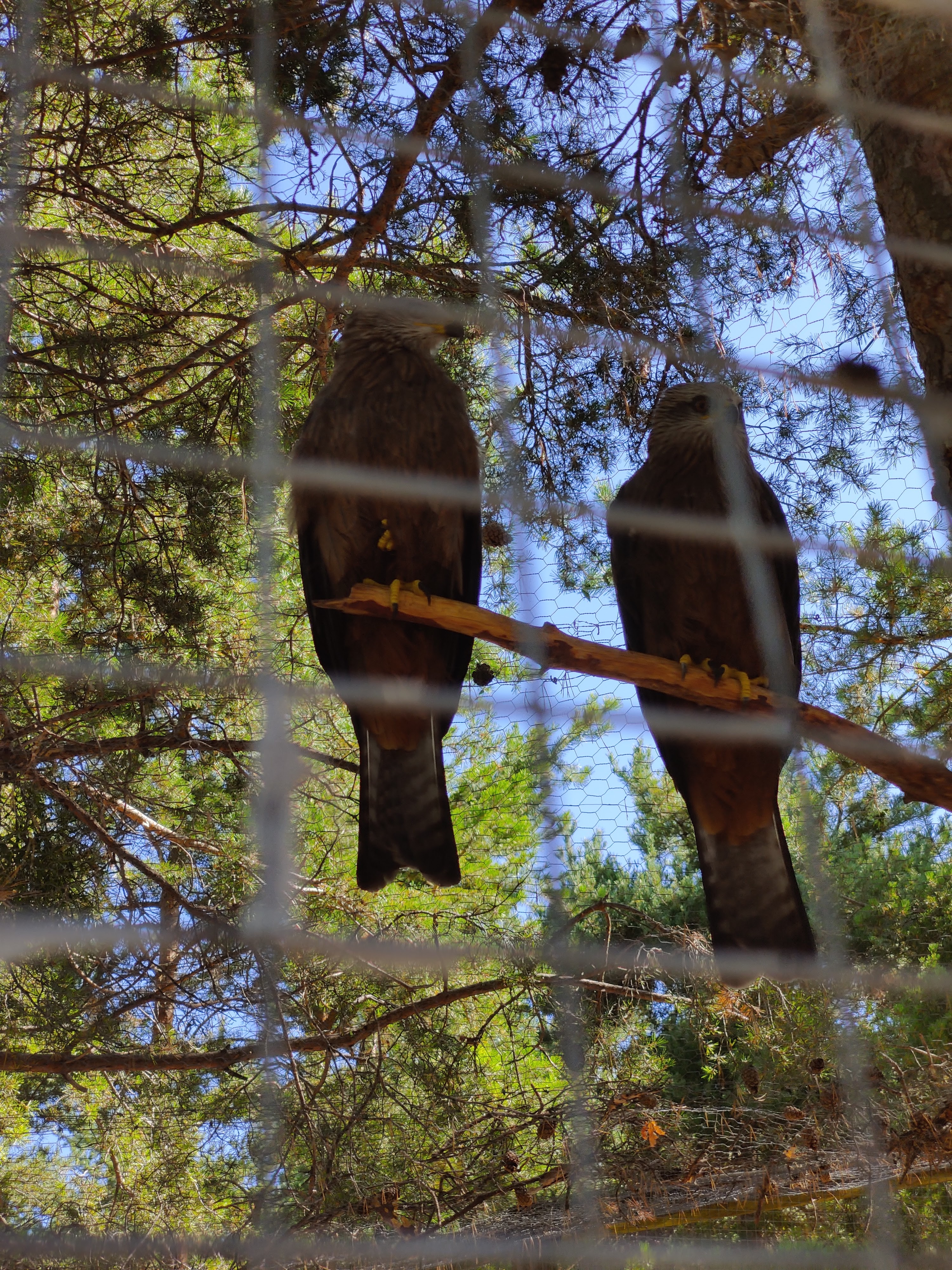 Photo n° 15 de l'avis de Julien.o fait le 14/08/2020 à 12:49