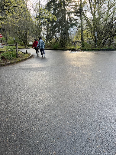 Waterfall «Horsetail Falls», reviews and photos, Historic Columbia River Hwy, Cascade Locks, OR 97014, USA