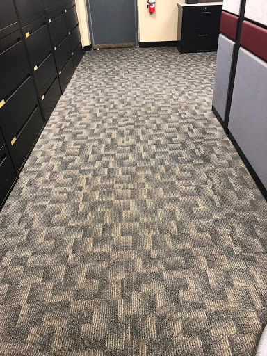 Carpet Cleaning Service «Elite Carpet Cleaning Service», reviews and photos, 29031 Glenarden St, Farmington Hills, MI 48334, USA