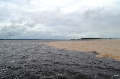 Operador de turismo Manaus