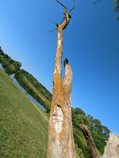 Nature Preserve «Bode Lake», reviews and photos, Bode Rd, Streamwood, IL 60107, USA