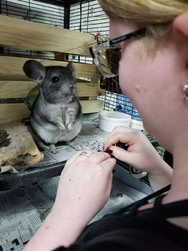 Andrews Green Ark Pet Store, 925 3rd St, Crescent City, CA 95531, USA, 