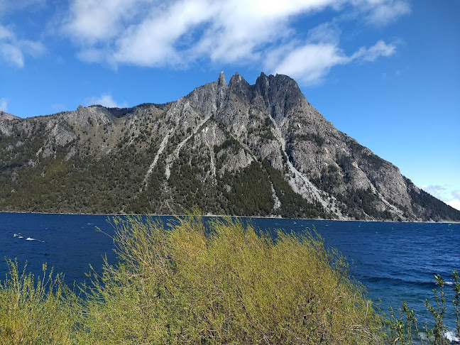 Comentarios y opiniones de taxi patagonia