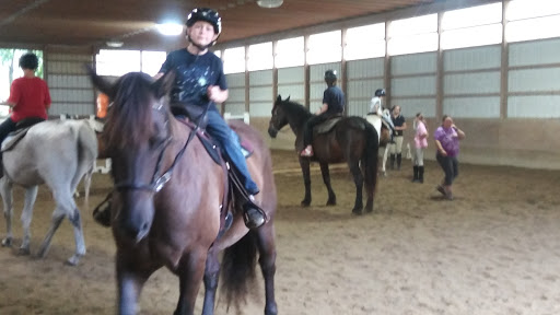 Horse Riding School «Horseng Farm LLC», reviews and photos, 6475 Warden Rd, New Tripoli, PA 18066, USA