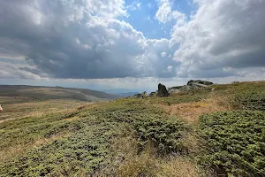 Vitosha image