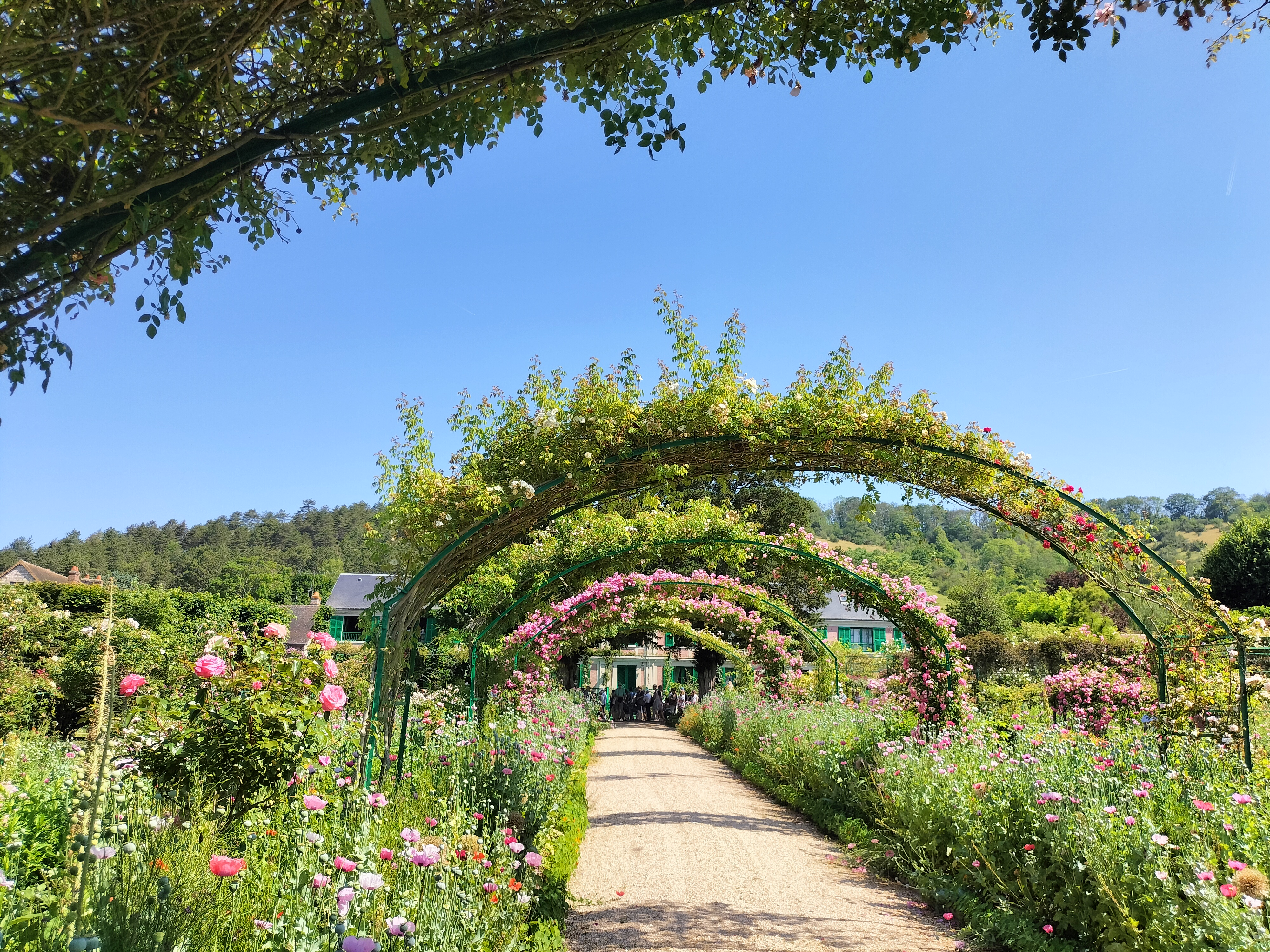 Photo n° 12 de l'avis de didier.e fait le 15/06/2023 à 13:38