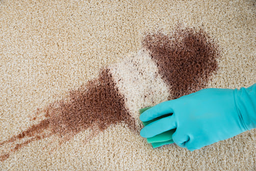 Tiptop Carpet Cleaning