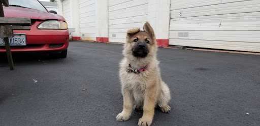 Auto Repair Shop «GM Repair Center of Roseville», reviews and photos, 424 Clinton Ave, Roseville, CA 95678, USA