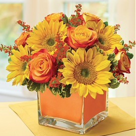 Florist «Cute Flowers & Gifts», reviews and photos, 3294 El Camino Real, Santa Clara, CA 95051, USA