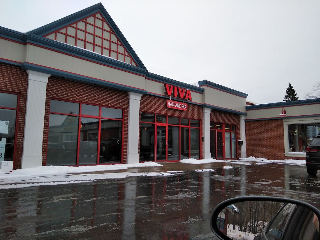 Viva Hair & Spa 14127