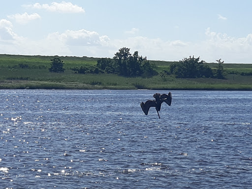 Cruise Agency «Cape Fear Riverboats», reviews and photos, 101 S Water St #1, Wilmington, NC 28401, USA