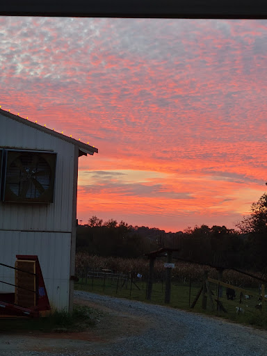 Farm «Warbington Farms (U-Pick Strawberries)», reviews and photos, 5555 Crow Rd, Cumming, GA 30041, USA