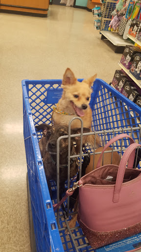 Pet Supply Store «PetSmart», reviews and photos, 21032 S Ellsworth Loop, Queen Creek, AZ 85142, USA