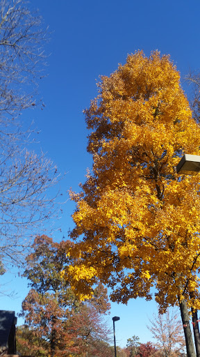 Park «Poplar Tree Park», reviews and photos, 4718 Stringfellow Rd, Fairfax, VA 22030, USA