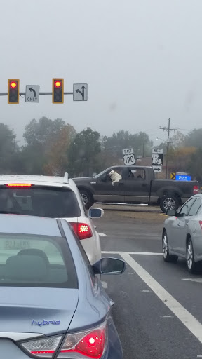 Coffee Shop «Cafe Du Monde», reviews and photos, 1814 North Causeway Approach #1, Mandeville, LA 70448, USA