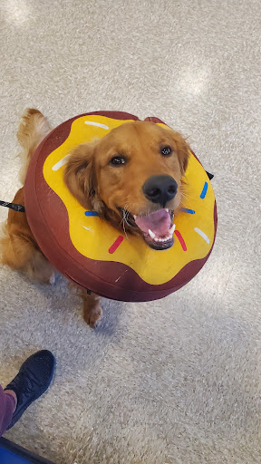 Pet Supply Store «PetSmart», reviews and photos, 1203 N Landing Way, Renton, WA 98057, USA