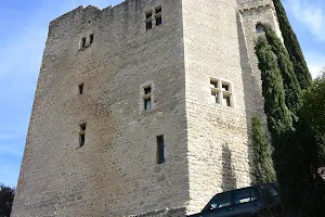 Château de Mollans image