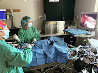 Care First - Photo 7 - Car repair in Cary, NC, Cary