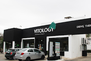 Vitology Lavín image