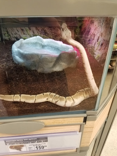 Pet Supply Store «Petco Animal Supplies», reviews and photos, 3495 Sports Arena Blvd, San Diego, CA 92110, USA