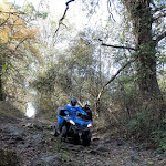 Photo n° 5 de l'avis de R. fait le 02/11/2020 à 08:55 pour Quadfrisson à Lentilly