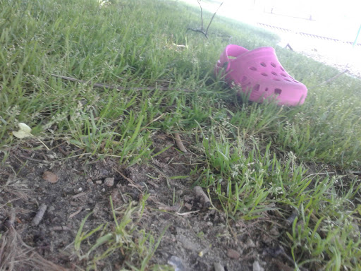 Park «Clasky Common Park», reviews and photos, Purchase St, New Bedford, MA 02740, USA