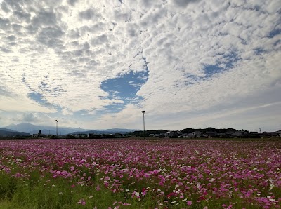 国指定史跡 大ノ瀬官衙遺跡